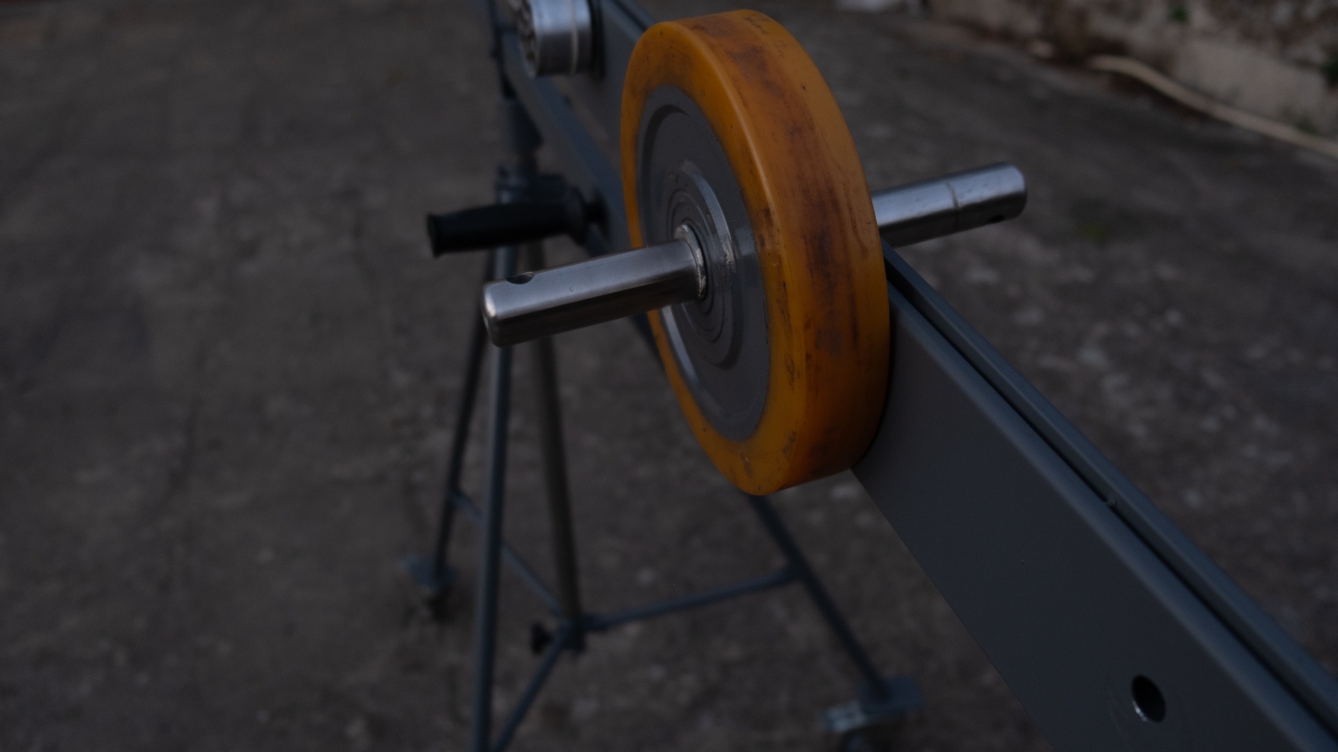 Um braço para o gesto (2024) de Daniela Silva