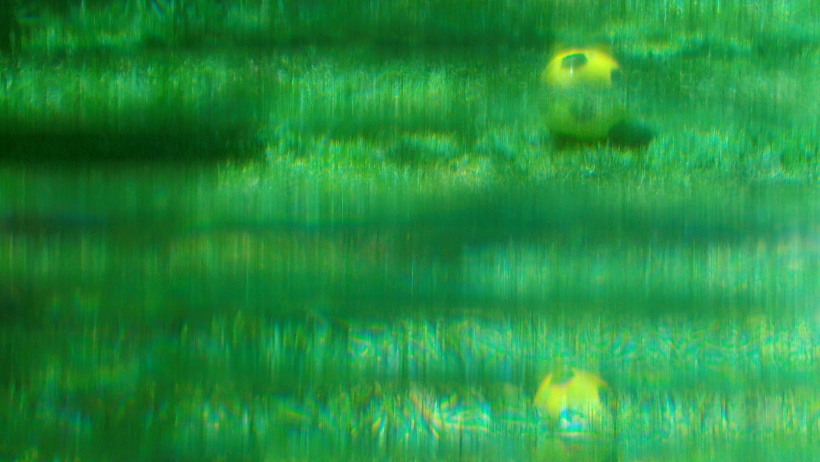 Fotograma de obra da exposição Ver(de) Profundidade